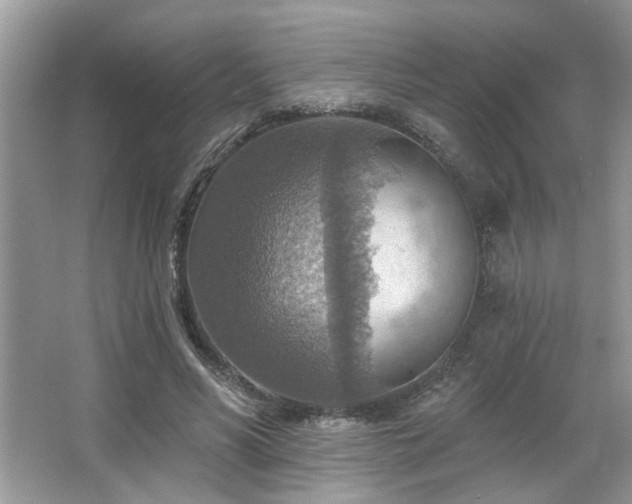 X0000067470590200604071156