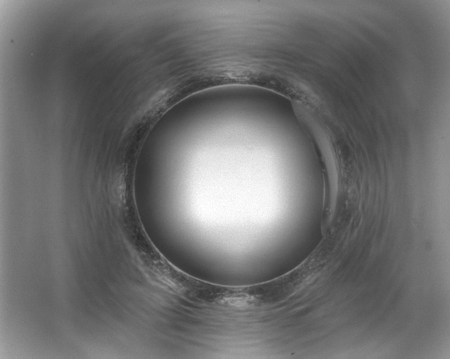 X0000067470595200604071156