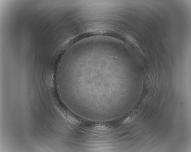 X0000067470596200604071156