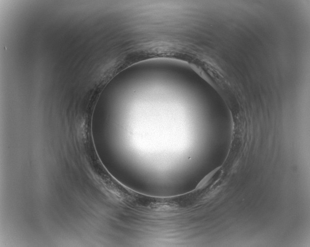 X0000067470597200604071156