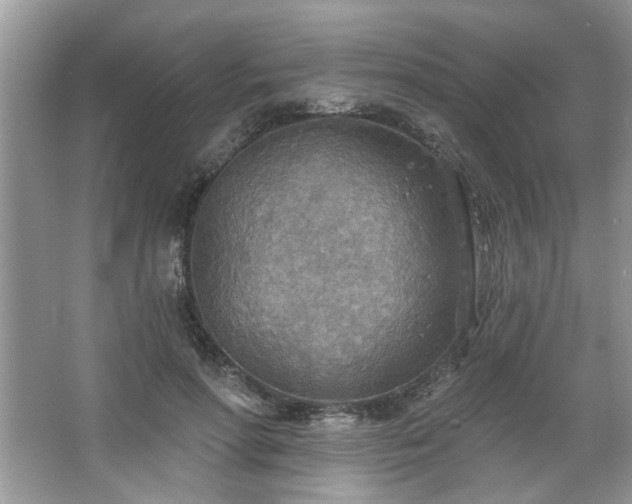 X0000067470598200604071156