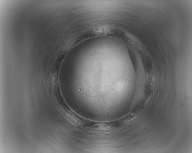 X0000067470601200604071156