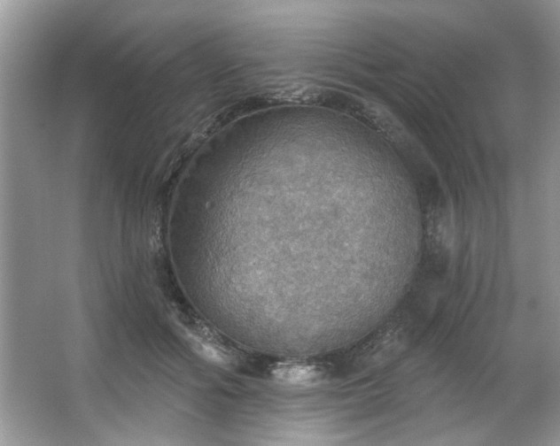 X0000067470602200604071156