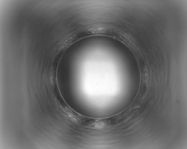 X0000067470604200604071156