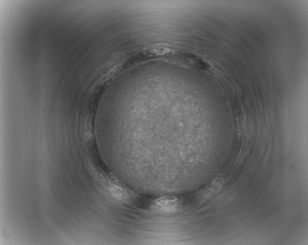 X0000067470606200604071156