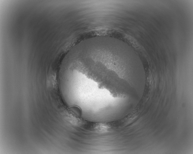 X0000067470610200604071156