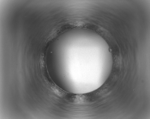 X0000067470612200604071156