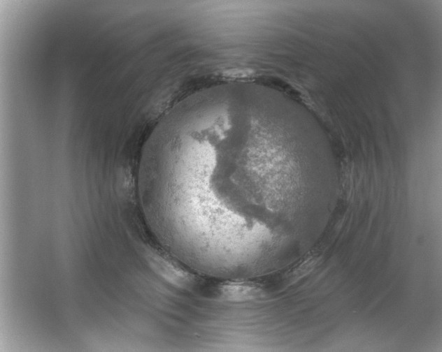 X0000067470614200604071156