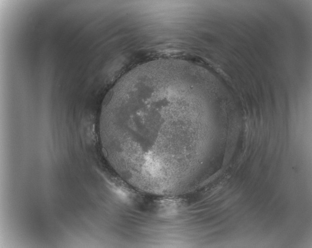 X0000067470615200604071156