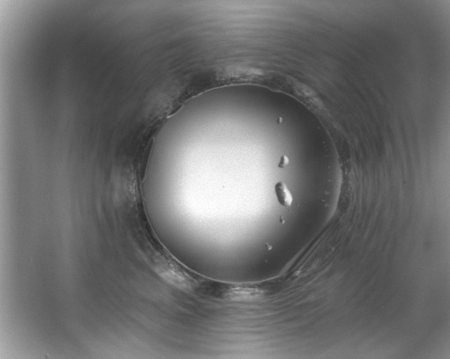 X0000067470617200604071156