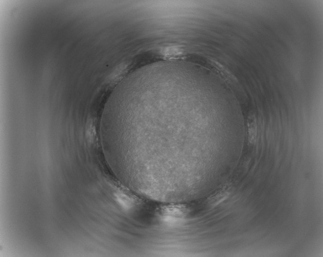 X0000067470618200604071156