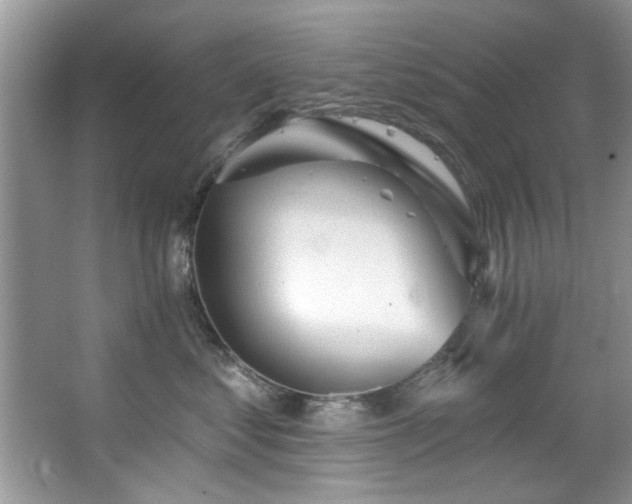 X0000067470621200604071156