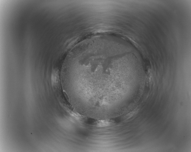 X0000067470623200604071156