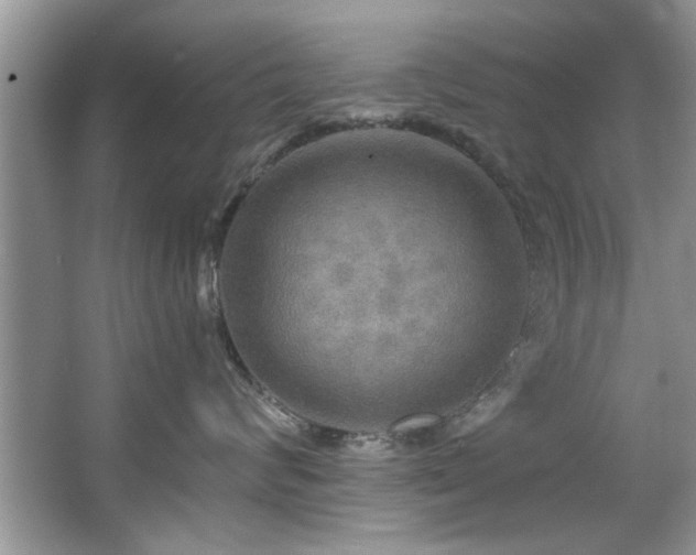 X0000067470624200604071156