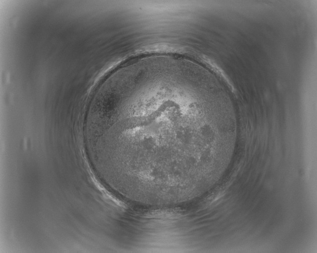 X0000067470625200604071155