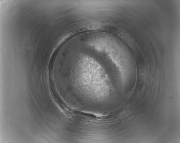 X0000067470626200604071155