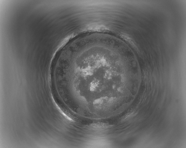 X0000067470630200604071155