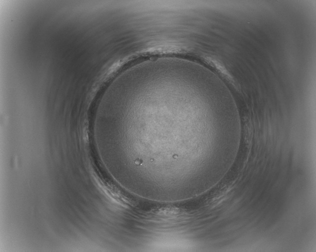 X0000067470631200604071155