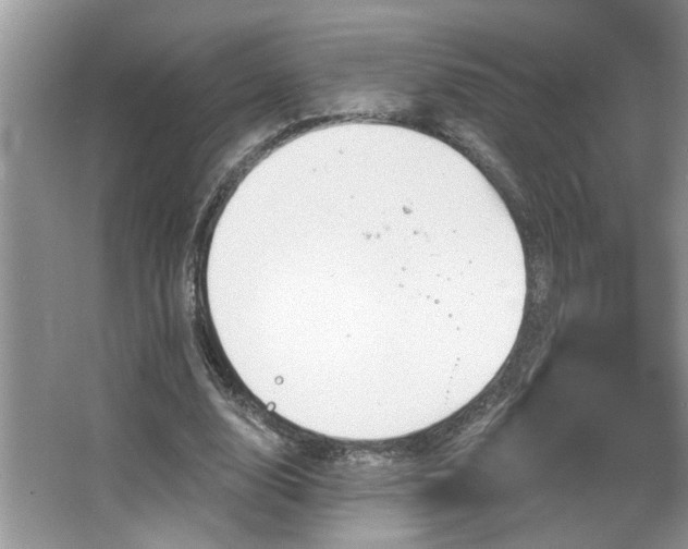 X0000067470632200604071155