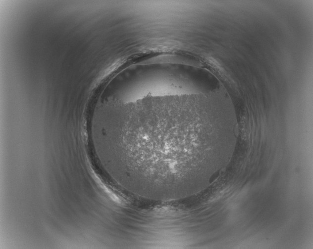 X0000067470634200604071155