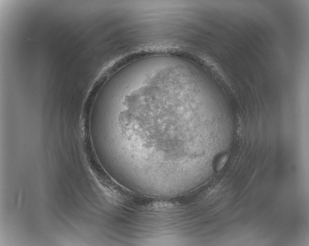 X0000067470636200604071155