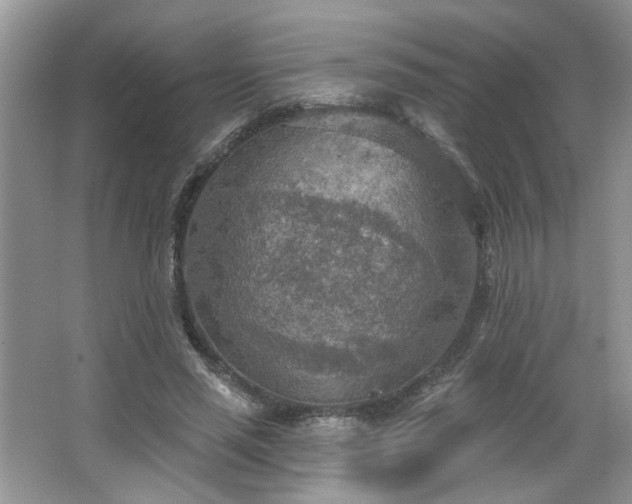 X0000067470637200604071155