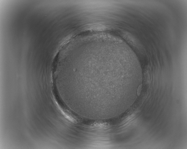 X0000067470638200604071155