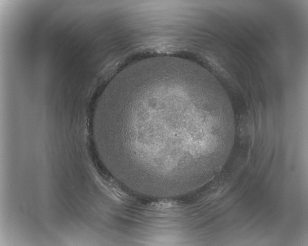 X0000067470639200604071155