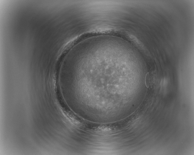 X0000067470640200604071155