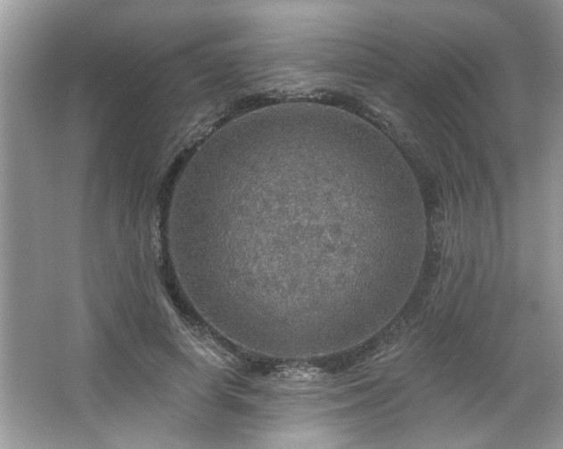 X0000067470642200604071155