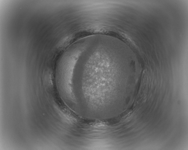 X0000067470643200604071155