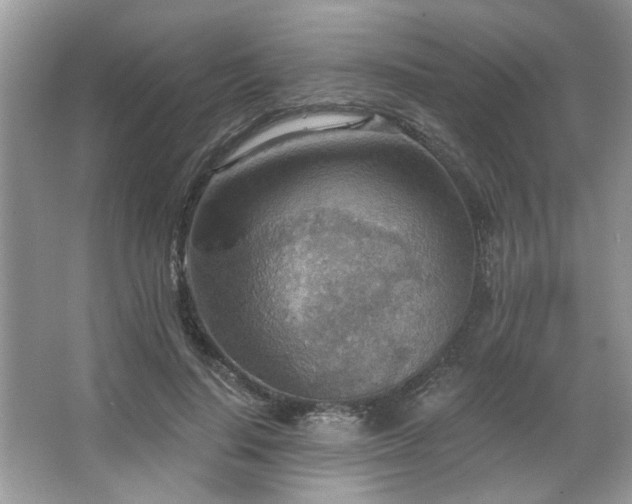 X0000067470644200604071155