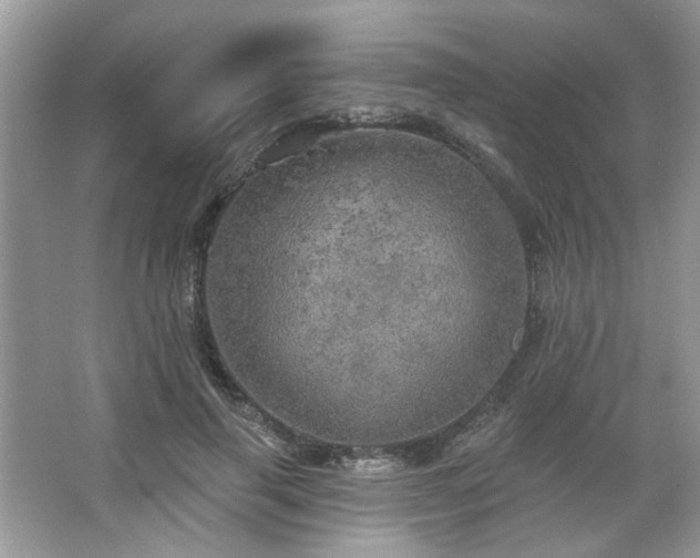 X0000067470645200604071155