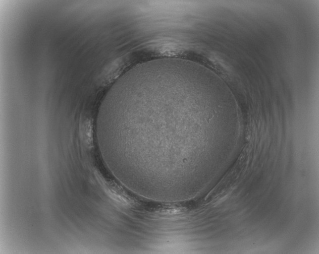 X0000067470646200604071155