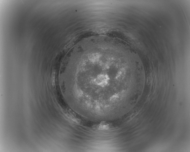 X0000067470647200604071155