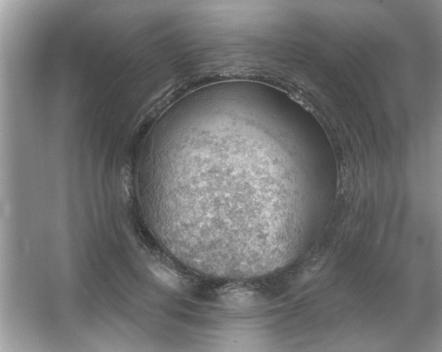 X0000067470648200604071155