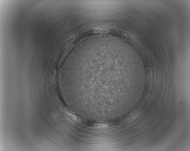 X0000067470649200604071155