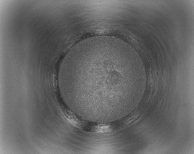 X0000067470651200604071155