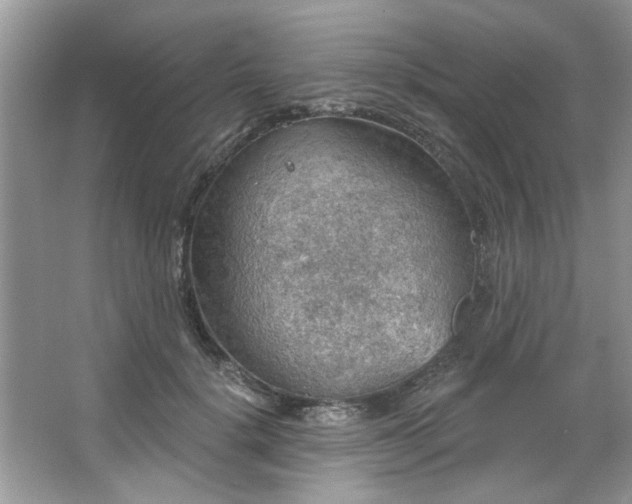 X0000067470652200604071155