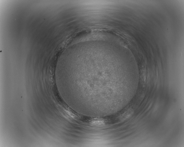 X0000067470653200604071155