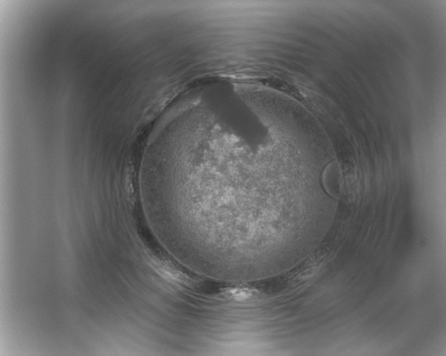 X0000067470654200604071155