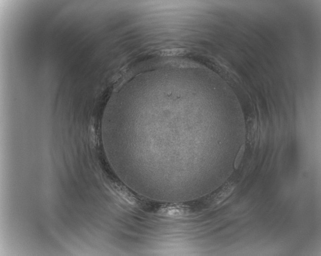 X0000067470655200604071155