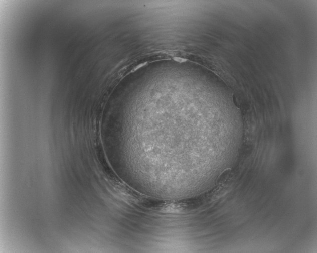 X0000067470656200604071155