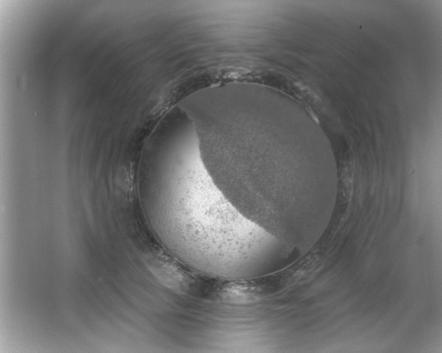 X0000067470657200604071155