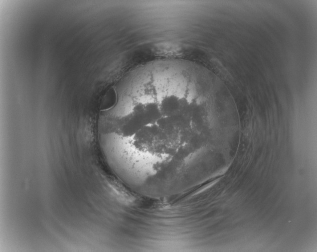 X0000067470658200604071155