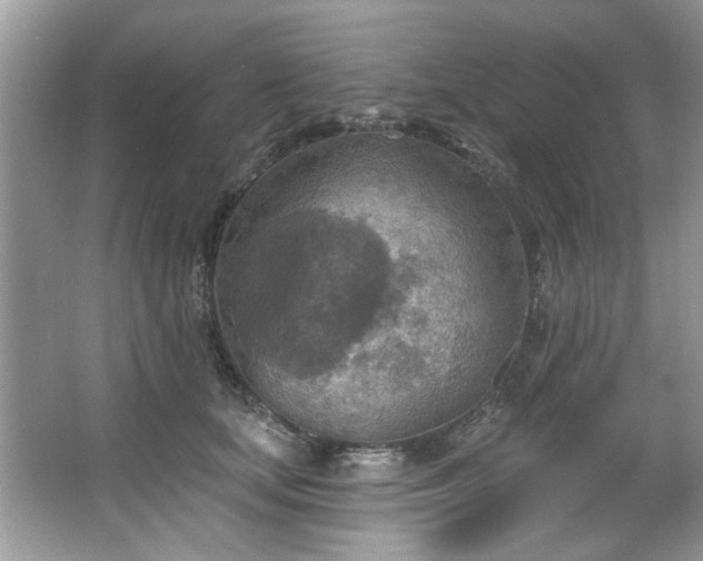 X0000067470659200604071155