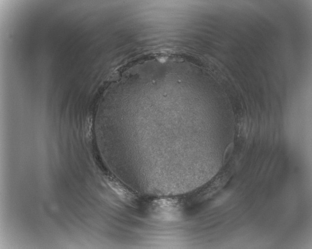 X0000067470660200604071155