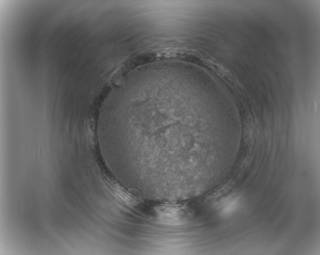 X0000067470661200604071155