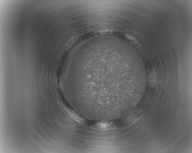 X0000067470662200604071155