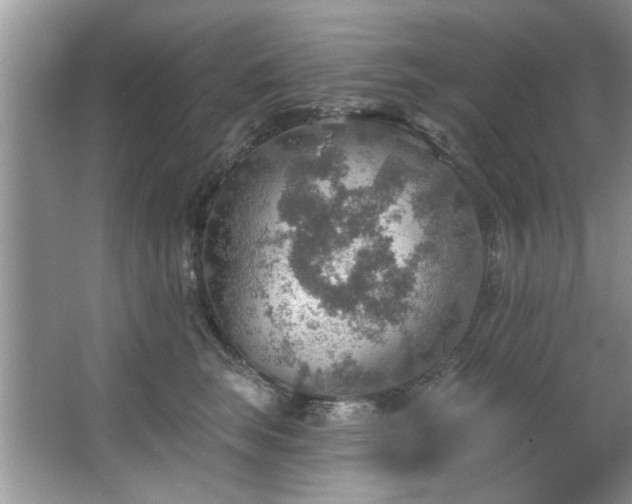 X0000067470663200604071155